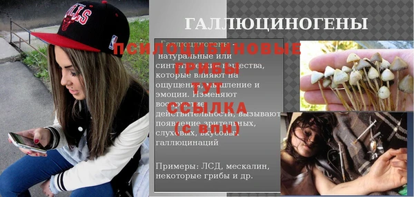сатива Алексин