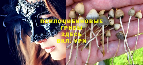прущие крисы Алексеевка