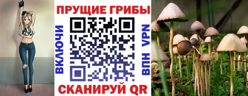 как найти закладки  Данилов  Псилоцибиновые грибы ЛСД 