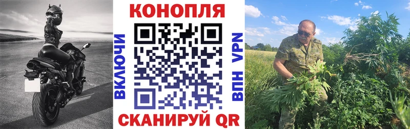 Каннабис гибрид  Данилов 